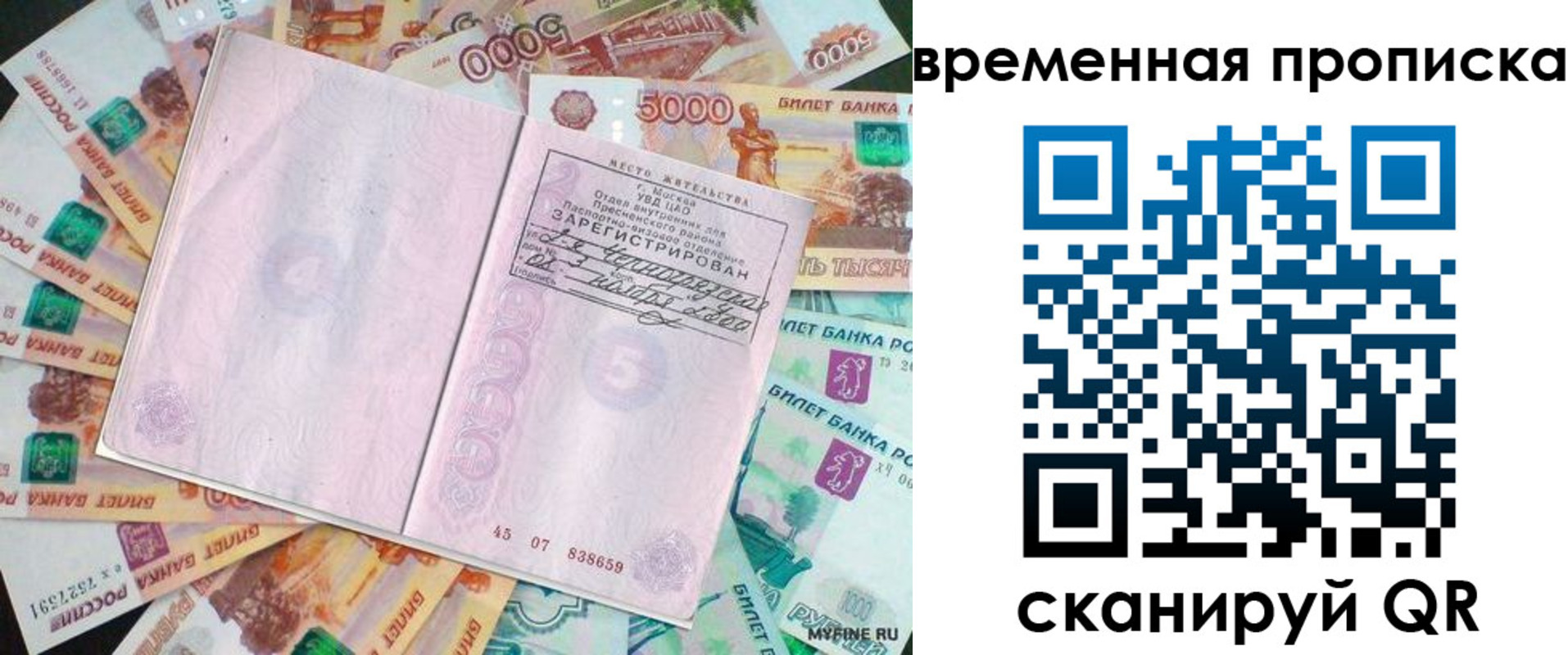 прописка гарантия в Краснознаменске